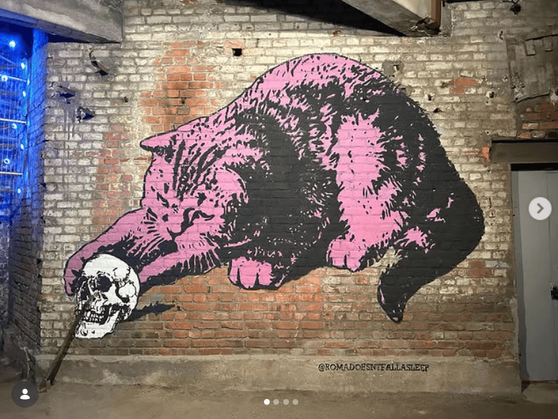 Romadoesntfallasleep